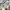 Billionaire Boys Club Vintage Streetwear Sweater Pria gray photo 4