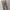 Levi's Y2K Casual Casual pants Pria multicolor photo 3