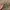 Merong boomber utility olive green photo 7