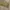 Merong boomber utility olive green photo 2
