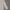 BABY POWDER Blazer Semi Long Loose Kerah Wanita Beige LD 84 photo 4