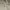 BABY POWDER Blazer Semi Long Loose Kerah Wanita Beige LD 84 photo 8