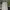 Kodak Vintage Casual shirt Pria white photo 3