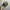 Flowserf Realtree Hats photo 5