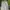 Dunlop Biker Polo shirt Pria white photo 1