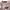 Sweater Crewneck Filles A Papa photo 4