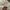 Neukkimpyo baggy jeans long pants white photo 6