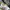 Reebok Sportswear Sneakers Pria White