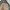 Celana Jeans Cargo Layer Union, celana vintage, jeans murah photo 4