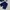 Gramicci Casual Short Pria navy photo 3