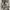 Y2k Vintage Grunge Emo Goth Vkei Long Sleeve Japan photo 6