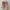 Adidas Streetwear Sportswear Sneakers Pria Orange Gray