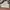 Adidas Nizza Hi Cloud White photo 5