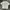 2nd Archive Graphic Logo Tee photo 2