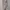 Theory Minimalist Casual Midi dress Wanita purple pink photo 1