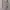 Theory Minimalist Casual Midi dress Wanita purple pink photo 5