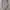 Theory Minimalist Casual Midi dress Wanita purple pink photo 4