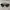 Heykama x Reality Club - Sunnies Lumen photo 2