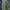 Eddie Bauer Sportswear Windbreaker Pria navy photo 4