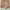 Minimalist Casual Casual pants Pria tan photo 1