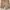 Minimalist Casual Casual Pants Pria Tan