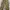 Y2K Grunge Wanita green brown photo 3