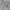 Vintage 1976s US Army M-65 Field Jacket photo 5
