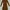 Minimalist Going out dress Wanita brown photo 1