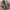 Indie Trench coat Wanita green tan gray photo 1
