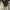 Rok Cargo Skirt Cream Miniskirt Shortskirt photo 2
