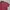 Fred Perry Casual Polo shirt Pria red photo 4
