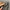 Monte Milano Black Floral Embroider Bowtie Shirt (S) photo 8