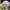 Polo Ralph Lauren Sportswear Hat Pria white photo 4