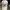 Polo Ralph Lauren Sportswear Hat Pria White