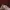 Japanese brand Coquette Casual Bodycon dress Wanita multicolor burgundy photo 3