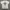 Oneita Power-T Seattle Formline Vintage Tee