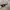 KACAMATA OAKLEY JAWBONE SERIES (GRAY) photo 6