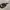 KACAMATA OAKLEY JAWBONE SERIES (GRAY) photo 7