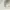 Topi Tommy Hilfiger Unstructured Small Mini Logo Cap Adjust photo 8