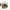 Helen Luxury Lolita Hat Wanita white photo 7