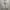 GAP Casual Hoody Pria white photo 1