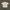 Y2K Harrington jacket Pria tan khaki photo 1