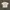 Y2K Harrington Jacket Pria Tan Khaki