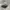 Vintage Dad Hat Two Tone photo 4