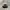 Vintage Dad Hat Two Tone photo 5
