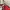 Minimalist Casual Shoulder bag Wanita red photo 4