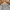 Ben Sherman Casual Polo shirt Pria silver photo 4