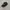 Pancoat Streetwear Casual Hat Pria black photo 1