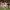 Jersey Ajax Amsterdam 1999/2000 Player : Laudrup photo 6