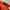 Y2k patrol cap texas weshed colour, Tage from top of theword photo 8